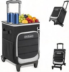 Solución a problemas frecuentes en neveras con ruedas