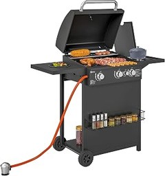 Pros y contras de usar barbacoas de gas para tu cocina exterior